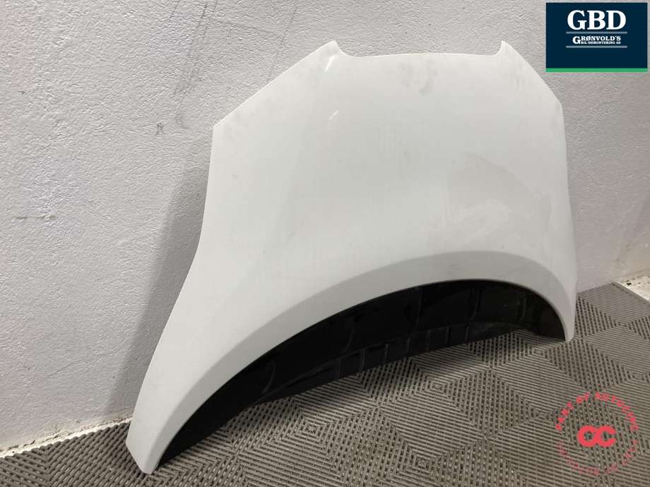 Panser til Nissan Leaf 2011-2017 (Type I) (F51003NLMA|)