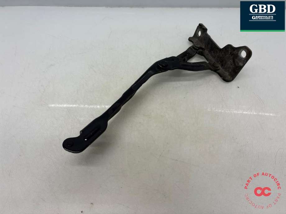 Panserhengsler til Hyundai Ioniq 6 2023-->>  (66910KL 000|)