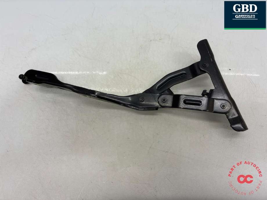 Panserhengsler til Hyundai Ioniq 6 2023-->>  (66910KL 000|)