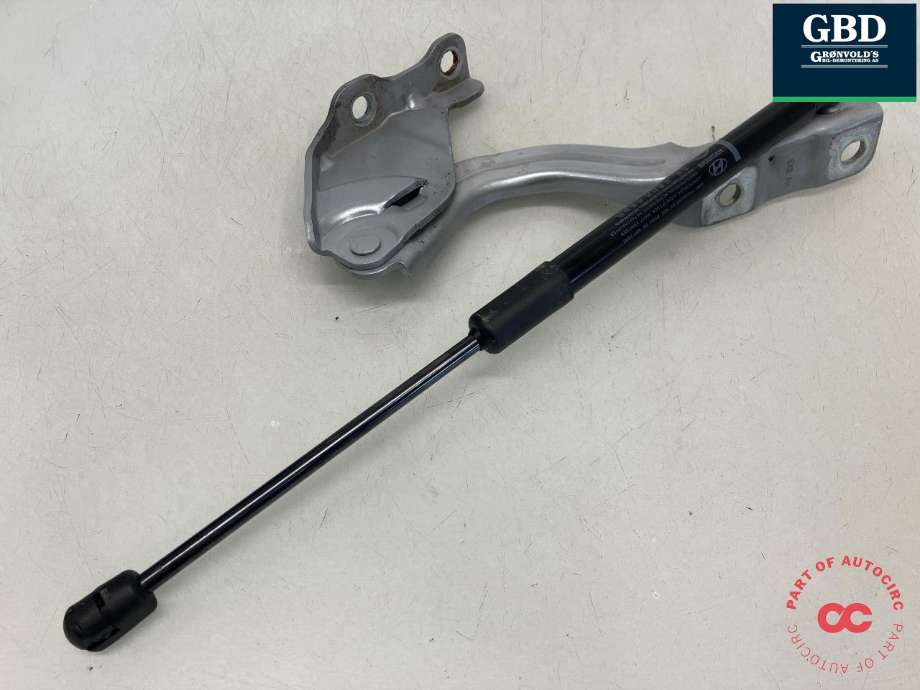 Panserhengsler til Hyundai Kona 2024-->> (Type II) (66920BE000|)