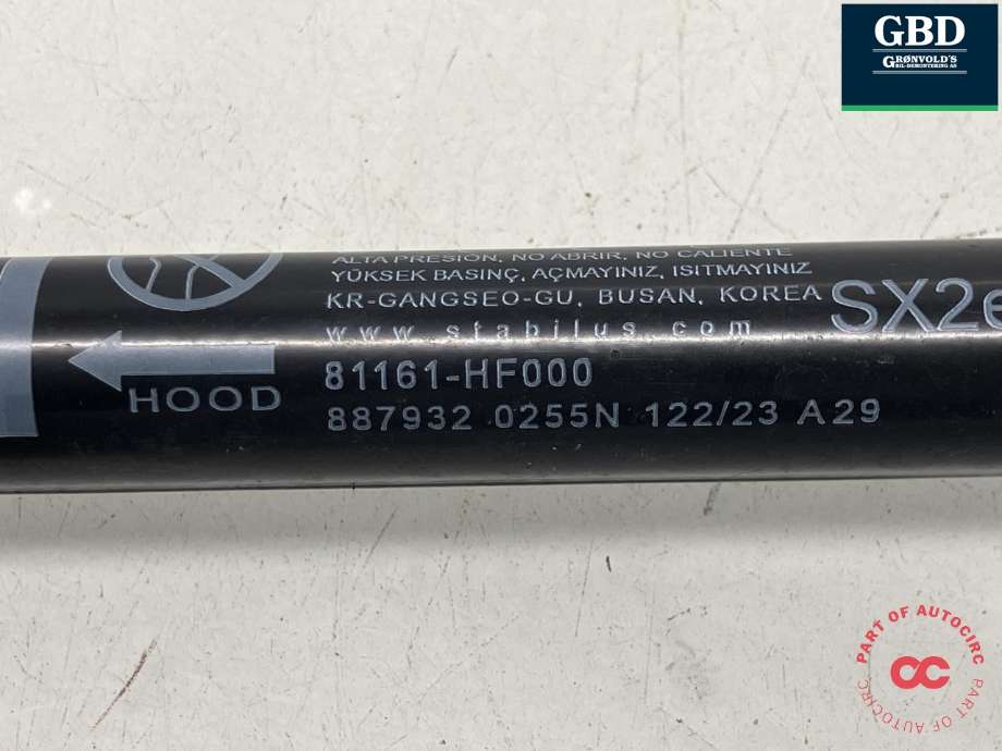 Panserhengsler til Hyundai Kona 2024-->> (Type II) (66920BE000|)