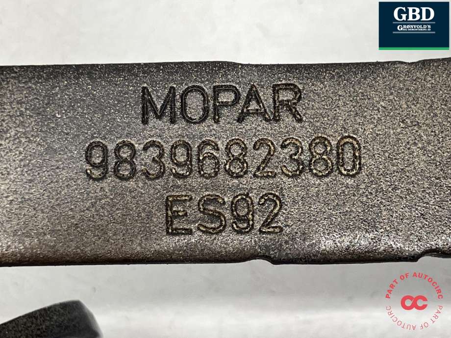Panserhengsler til Peugeot e-3008 2023-->>  (98 396 823 80|)