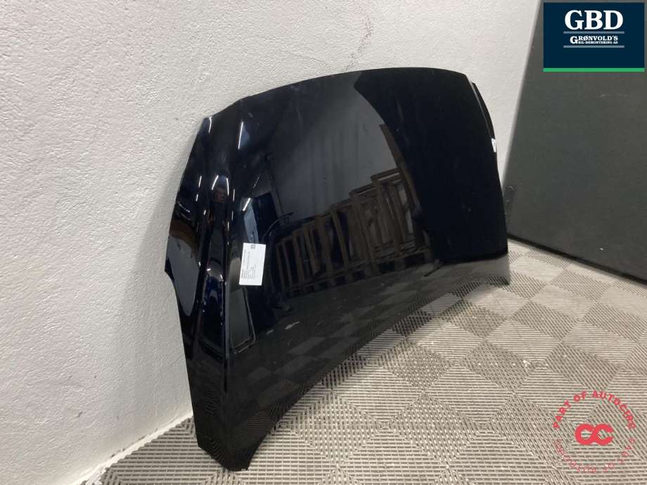 Panser til Hyundai Ioniq Electric 2016-2019 (Fase 1) (66400G 2000|)