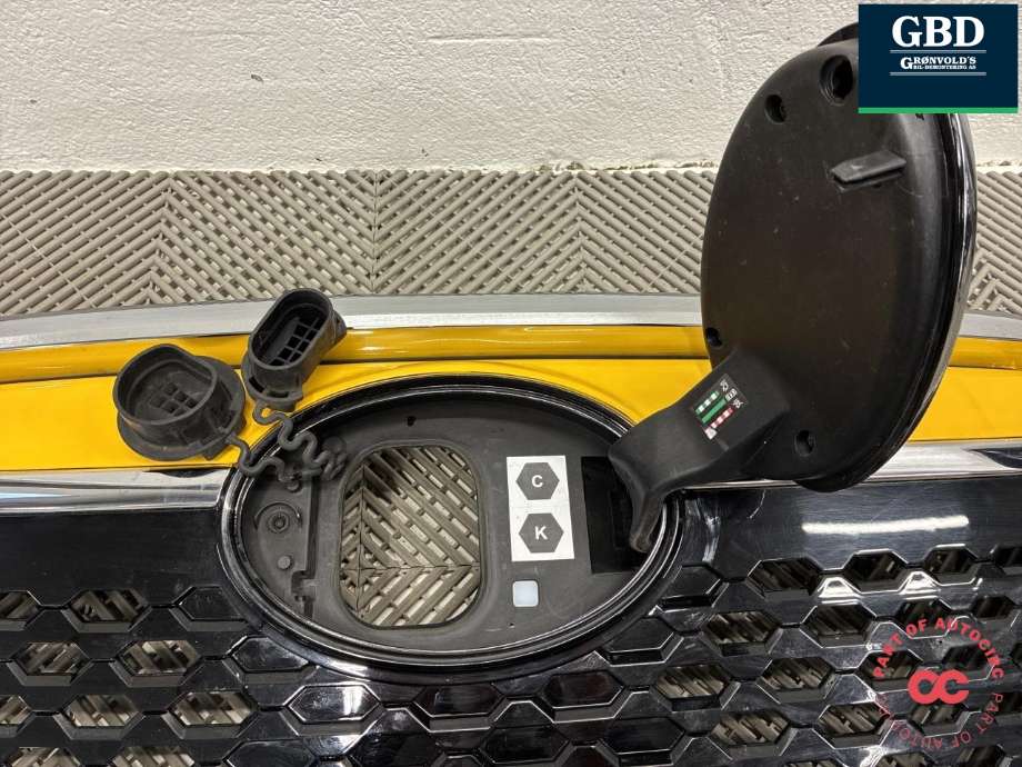 Grill til Maxus e-Deliver 9 2020-->> (C00334218-M001|)