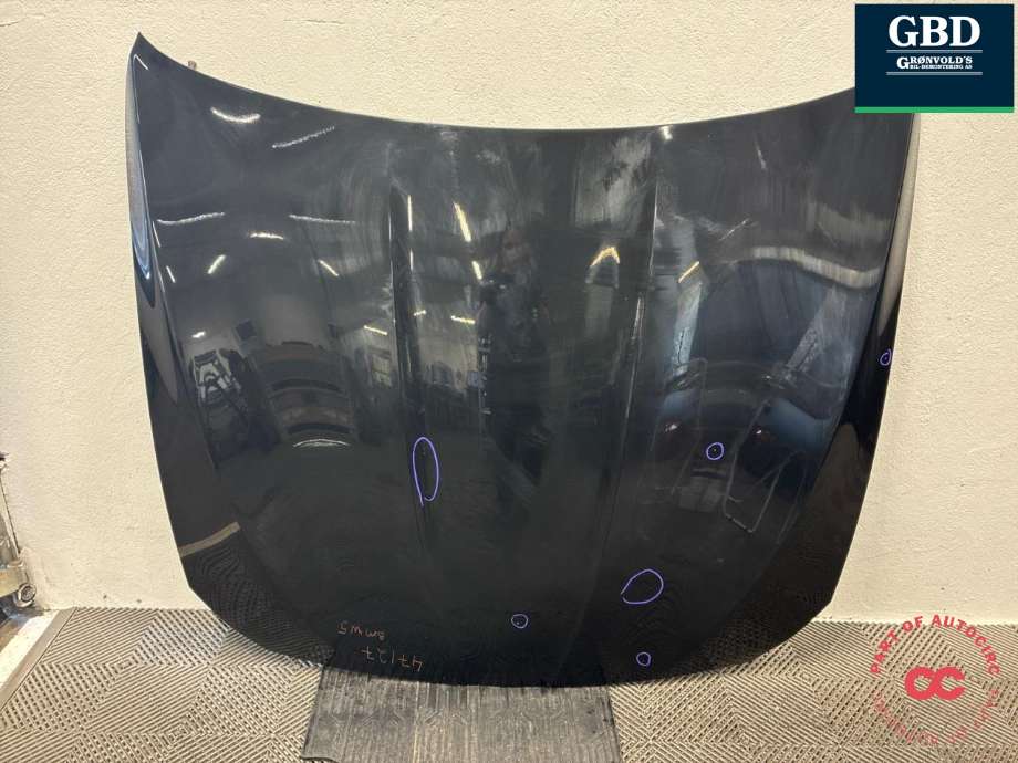 Panser til BMW 5-Serie, 2010-2017 (F10/F11) (F10/F11) (41 61 7 207 194)
