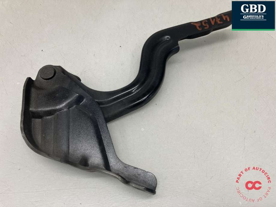 Panserhengsler til Hyundai Kona 2017-2021 (Type I, Fase 1)  (79110J 9000|)