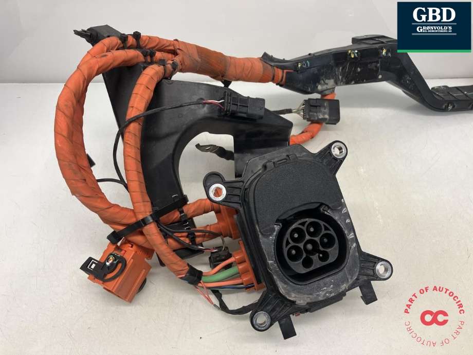 Batterilader inntak/luke til Ford Mustang Mach-e 2020-->> (2658598|2549836|LJ98-14B308-BF)