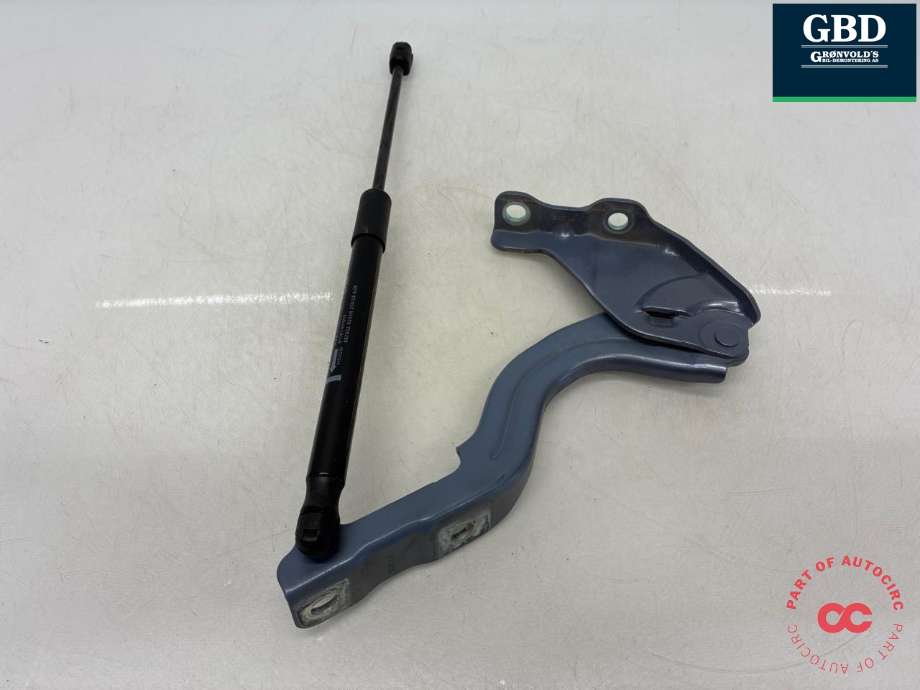 Panserhengsler til Hyundai Kona 2024-->> (Type II)  (66910-BE000|81161-HF000|)