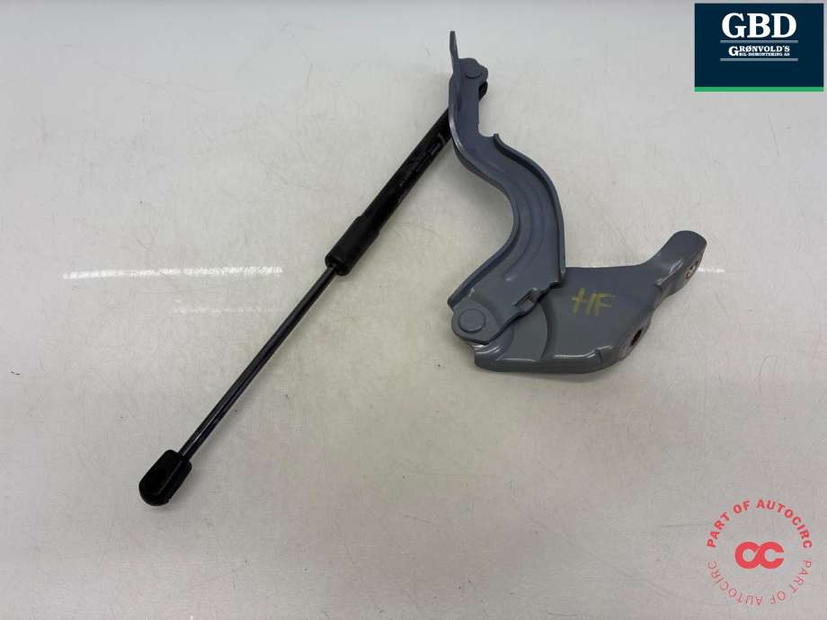 Panserhengsler til Hyundai Kona 2024-->> (Type II)  (66920-BE000|81161-HF000|)