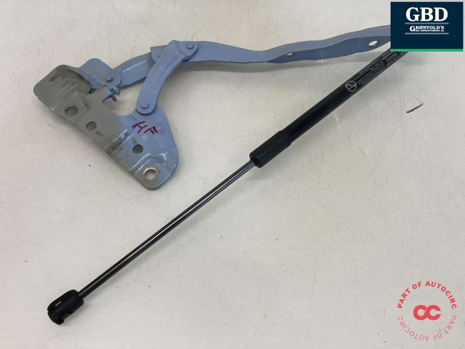Panserhengsler til Hyundai Ioniq 5 2021-->>  (MANDO|66920-GI000|81162-GI000|)