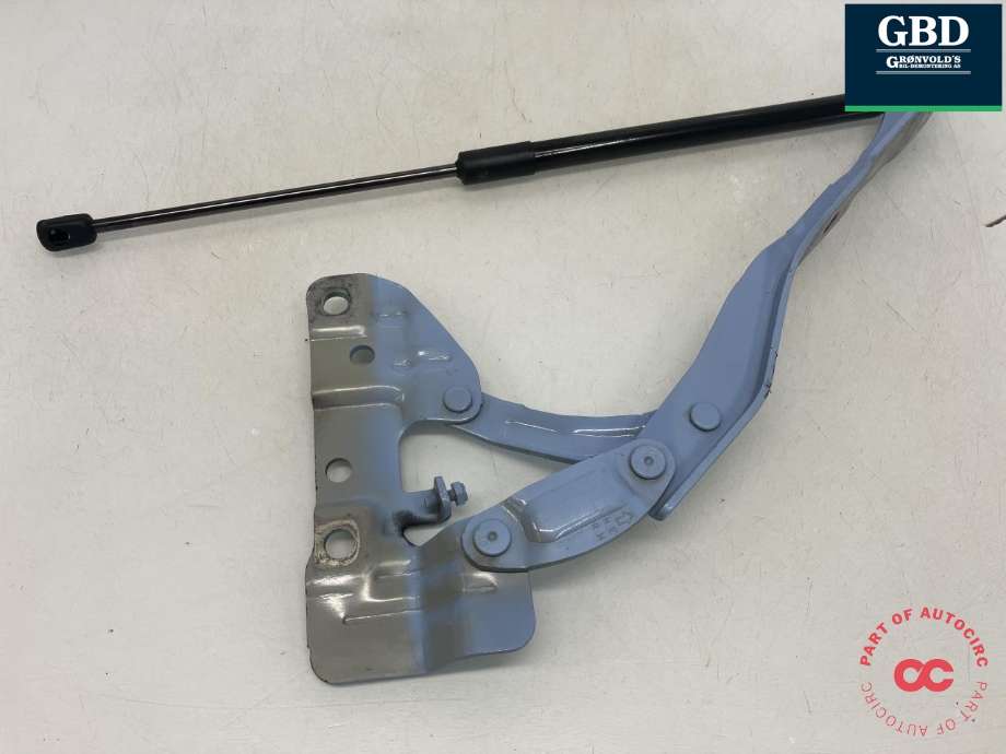 Panserhengsler til Hyundai Ioniq 5 2021-->>  (MANDO|66920-GI000|81162-GI000|)