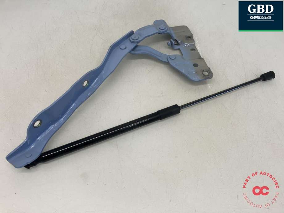 Panserhengsler til Hyundai Ioniq 5 2021-->>  (MANDO|66920-GI000|81162-GI000|)