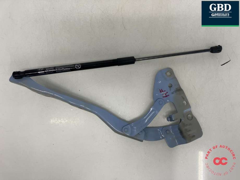 Panserhengsler til Hyundai Ioniq 5 2021-->>  (MANDO|66920-GI000|81162-GI000|)