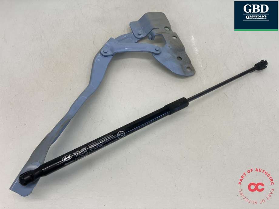 Panserhengsler til Hyundai Ioniq 5 2021-->> (66910-GI000|)
