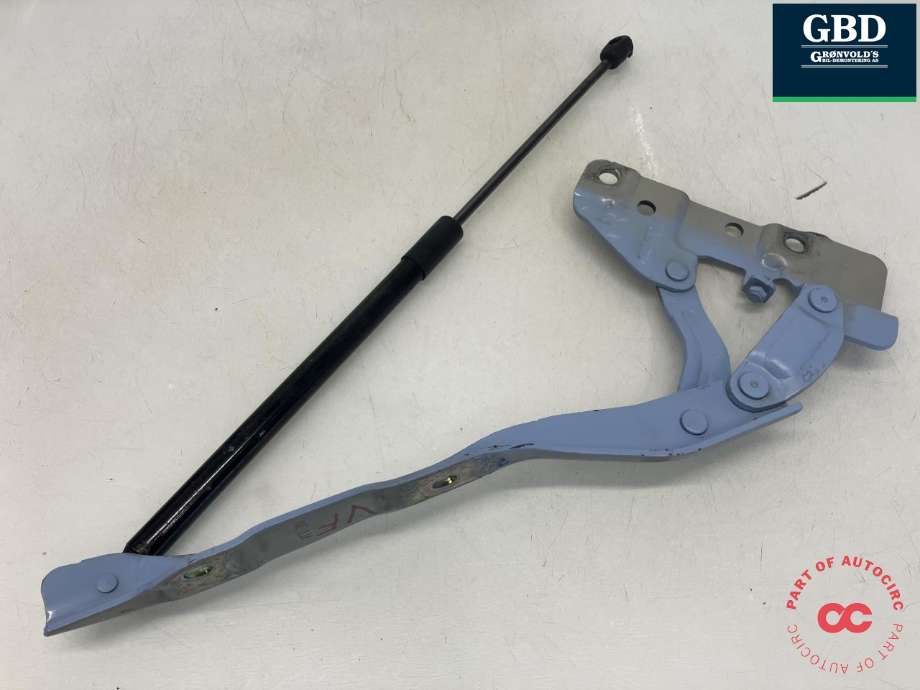 Panserhengsler til Hyundai Ioniq 5 2021-->> (66910-GI000|)