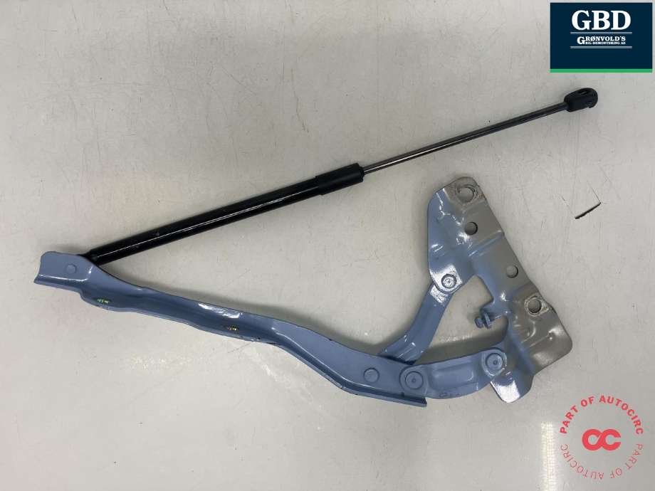 Panserhengsler til Hyundai Ioniq 5 2021-->> (66910-GI000|)