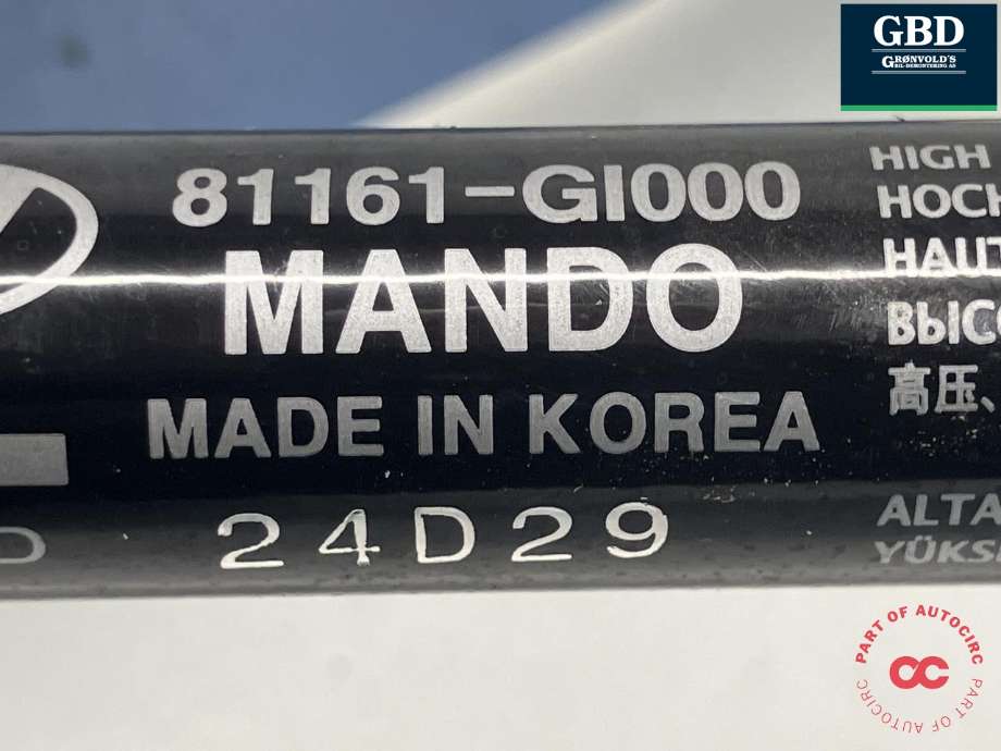 Panserhengsler til Hyundai Ioniq 5 2021-->> (66910-GI000|)
