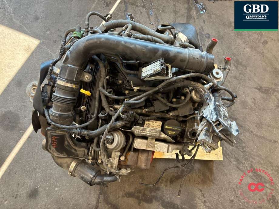 Motor bensin til Ford Fiesta 2013-2017 (Type VI, Fase 2) (SFJA|1857850|2239292)