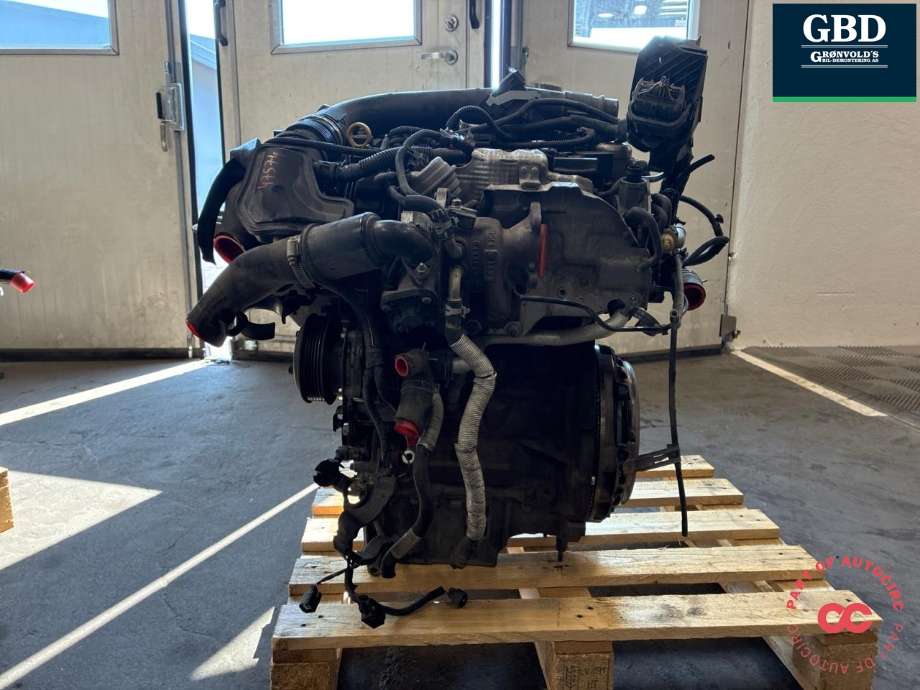 Motor bensin til Ford Fiesta 2013-2017 (Type VI, Fase 2) (SFJA|1857850|2239292)