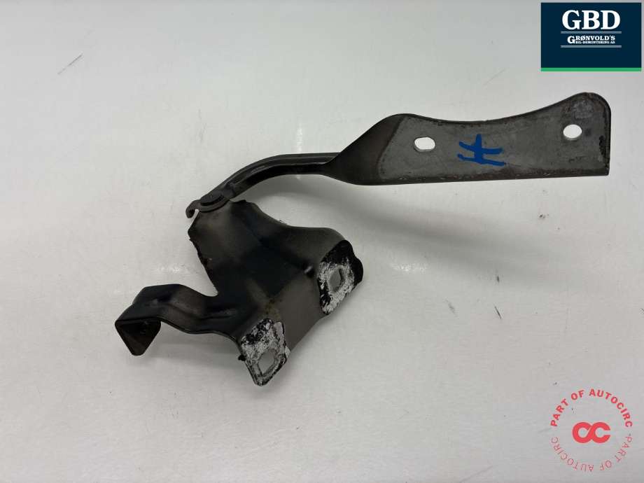 Panserhengsler til Nissan Qashqai 2014-2021 (Type II)  (654004EA0A|)