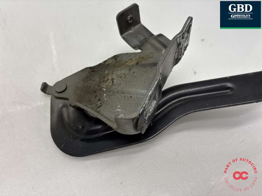 Panserhengsler til Nissan Qashqai 2014-2021 (Type II)  (654004EA0A|)