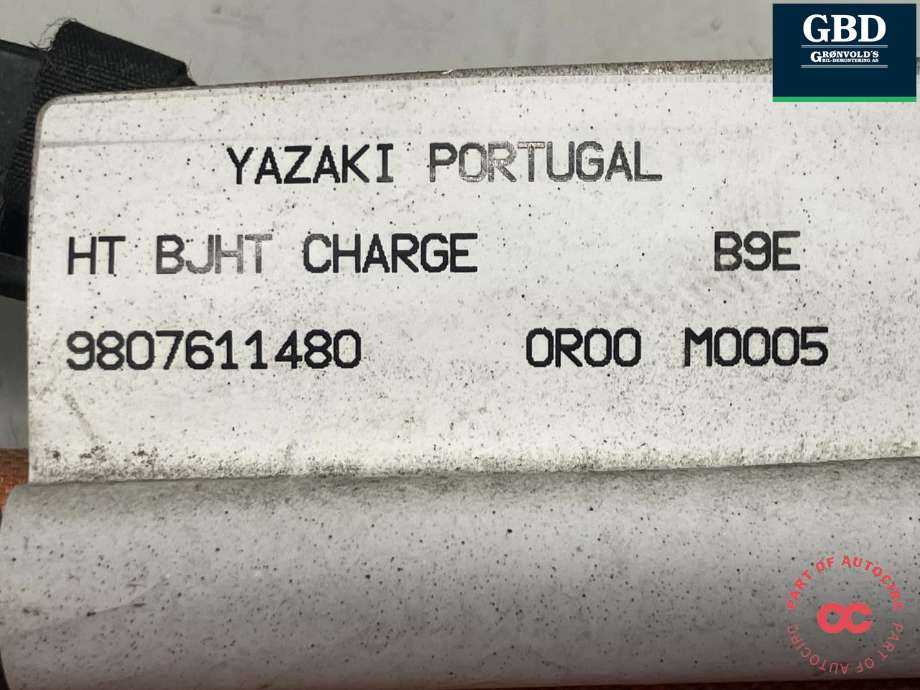 Batterilader inntak/luke til Peugeot Partner 2015-2019 (Type II, Fase 2) (YAZAKI|98 076 114 80|)