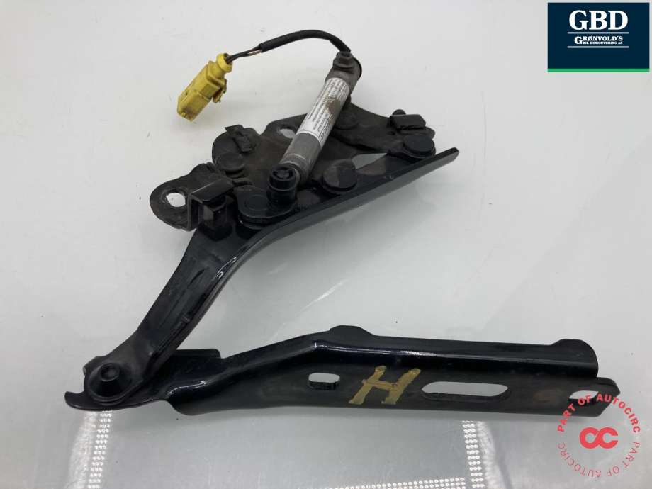 Panserhengsler til Audi A3 2012-2016 (Type III, Fase 1)  (8V0 823 302 F|)