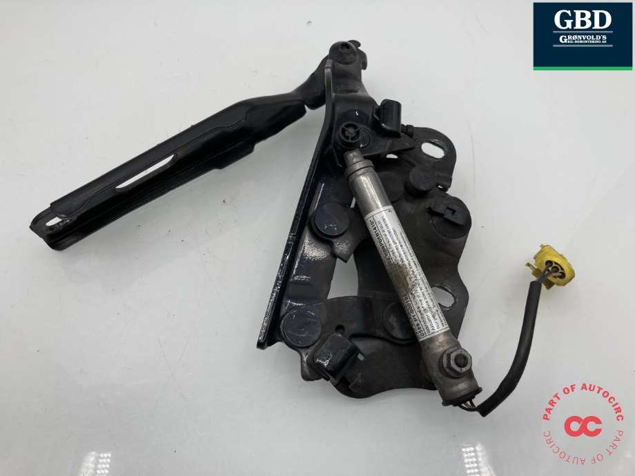 Panserhengsler til Audi A3 2012-2016 (Type III, Fase 1)  (8V0 823 302 F|)