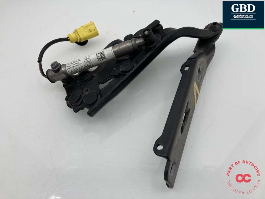 Panserhengsler til Audi A3, 2012-2016 (Type III, Fase 1)  (8V0 823 301 F)