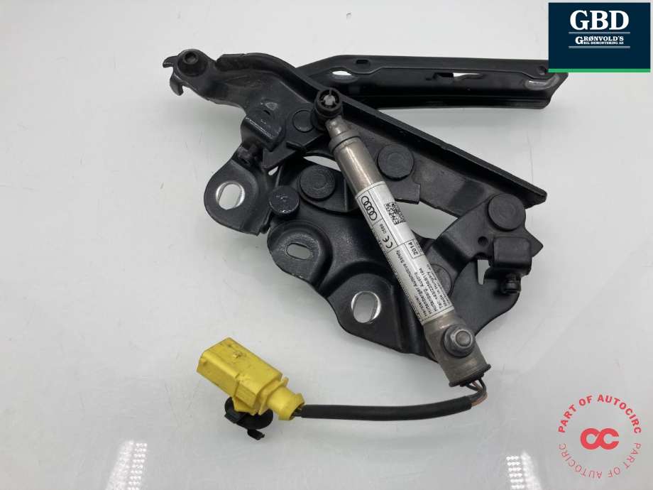 Panserhengsler til Audi A3 2012-2016 (Type III, Fase 1) (8V0 823 301 F|)