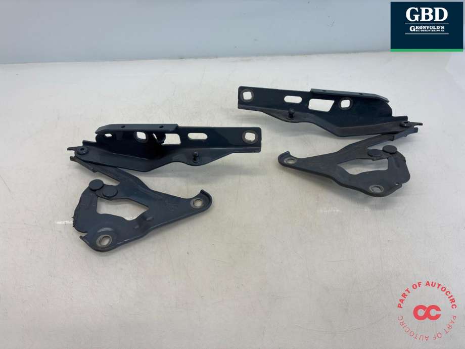 Panserhengsler til Audi e-tron GT 2021-->>  (4J3823296A|4J3 823 295 A|)