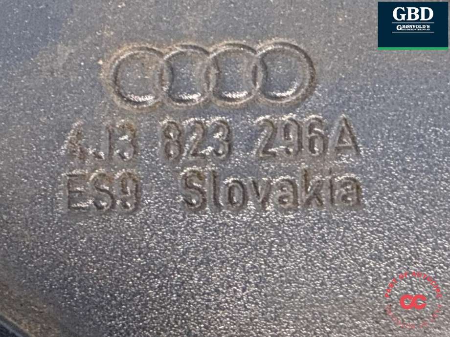 Panserhengsler til Audi e-tron GT 2021-->>  (4J3823296A|4J3 823 295 A|)