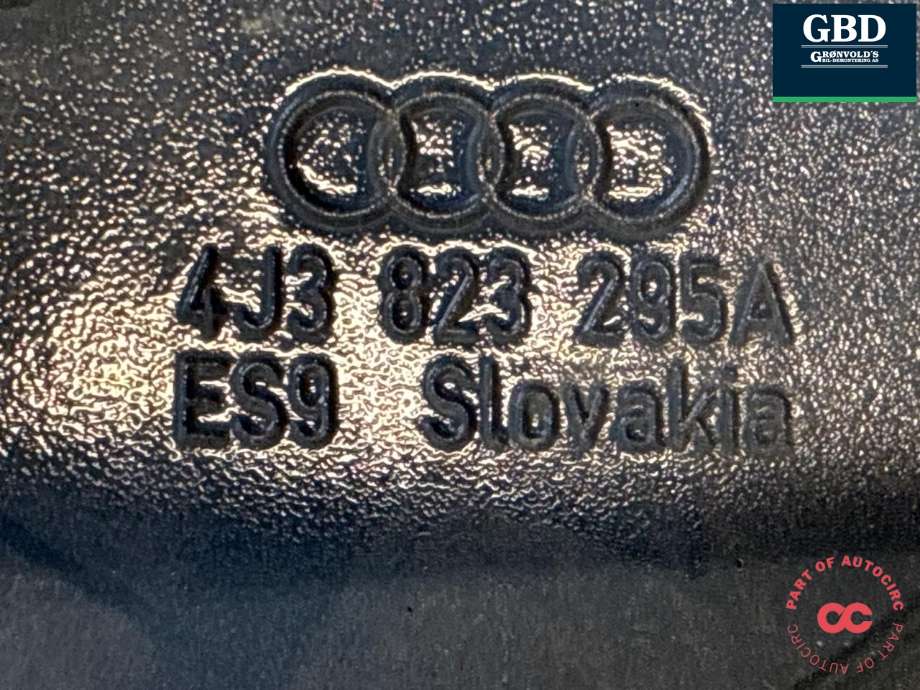 Panserhengsler til Audi e-tron GT 2021-->>  (4J3823296A|4J3 823 295 A|)