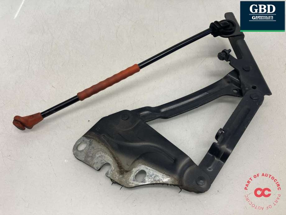 Panserhengsler til VW Golf, Plus/Cross 2009-2013 (Fase 2)  (|5M0 823 301)