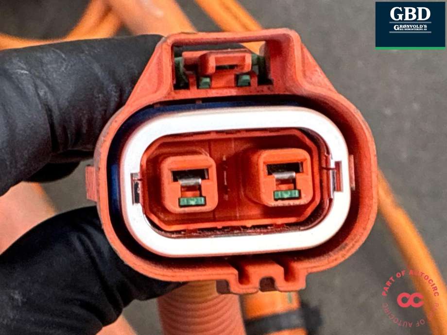 Batterilader inntak/luke til BYD Tang 2020-->>  (13061792-00|)