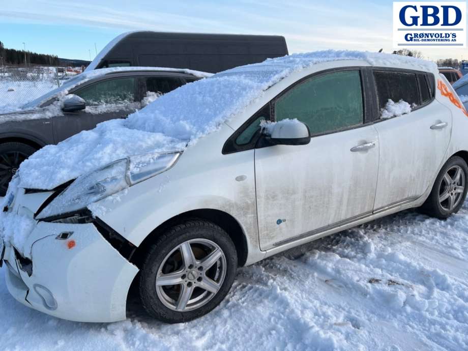 Nissan Leaf, 2011-2017 (Type I) (440113NK0A)