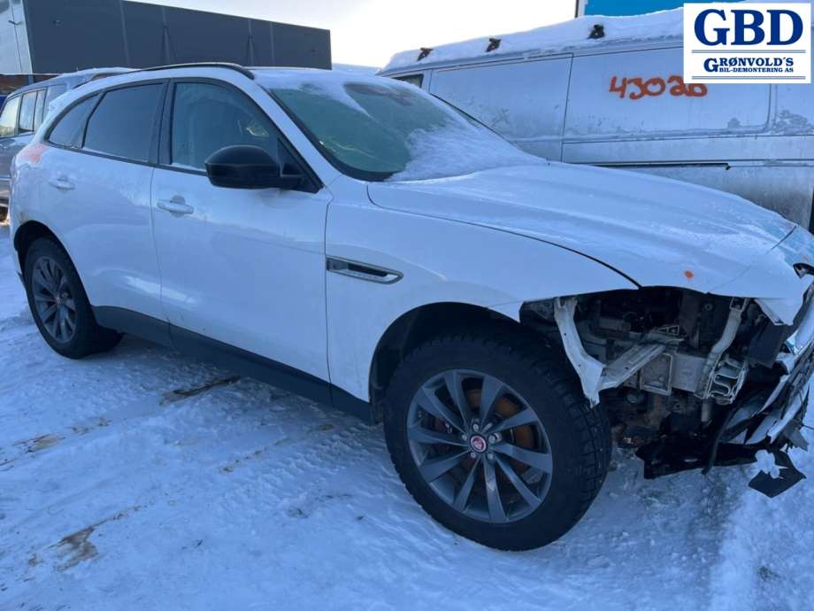 Jaguar F-PACE, 2016- (X761) (T4A37908  | HK8313405AH|T4A1185 |HK8313405AC)