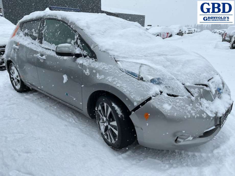 Nissan Leaf, 2011-2017 (Type I) (F51003NLMA)