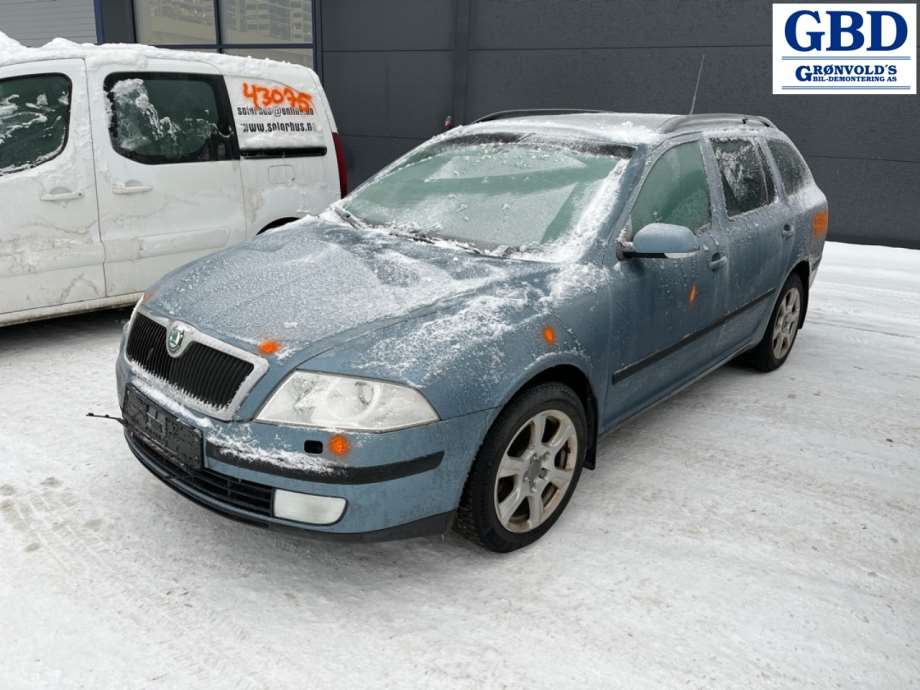 Škoda Octavia, 2005-2008 (Type II, Fase 1) (BLS|03G 100 037 H|03G 100 098 HX)