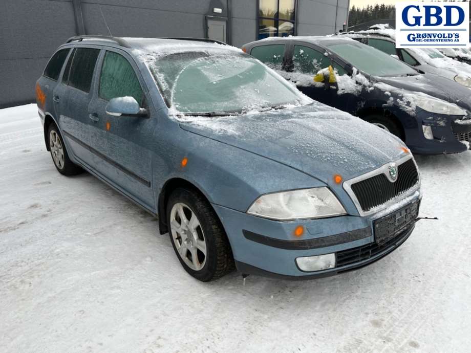 Škoda Octavia, 2005-2008 (Type II, Fase 1) (BLS|03G 100 037 H|03G 100 098 HX)