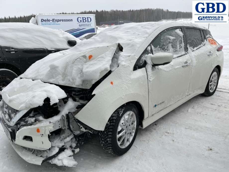 Nissan Leaf, 2018- (Type II)