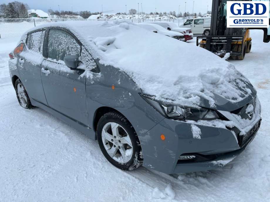 Nissan Leaf, 2018- (Type II)