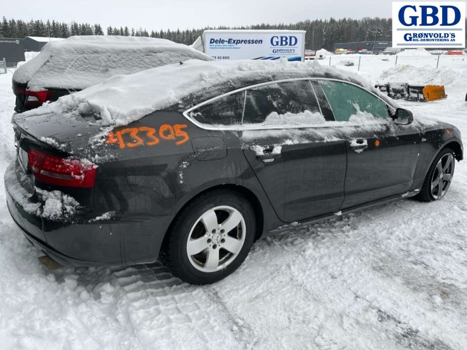 Audi A5, 2007-2016 (Type I) (CDNB|06H 100 033 D|06H 100 036 C)