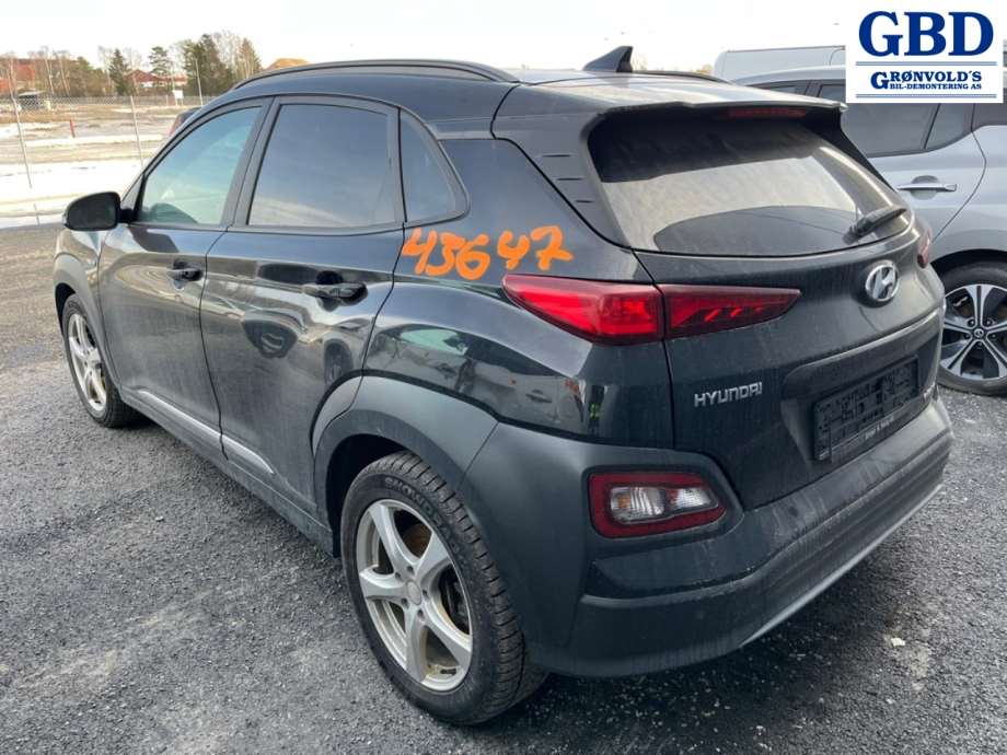 Hyundai Kona, 2017-2021 (Type I, Fase 1) (365000E720|EM16)