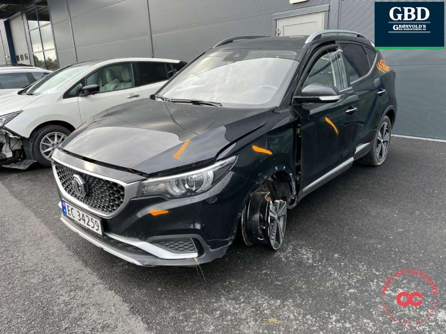 MG ZS EV, 2019-2021 (Type I, Fase 1)  delebil , Motorkode: TZ204XS1481