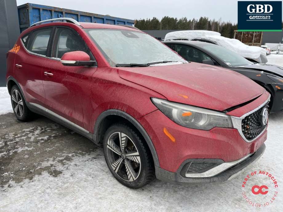 MG ZS EV, 2019-2021 (Type I, Fase 1)  delebil , Motorkode: TZ204XS1481