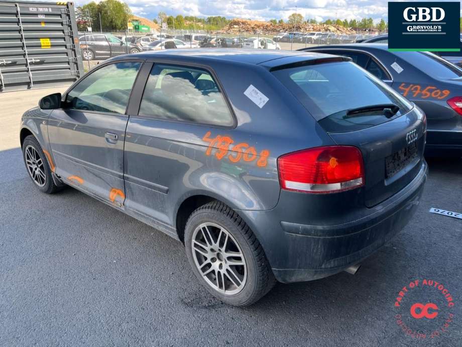 Audi A3 2003-2008 (Type II, Fase 1) , Motorkode: BGU, Girkassekode: FVH