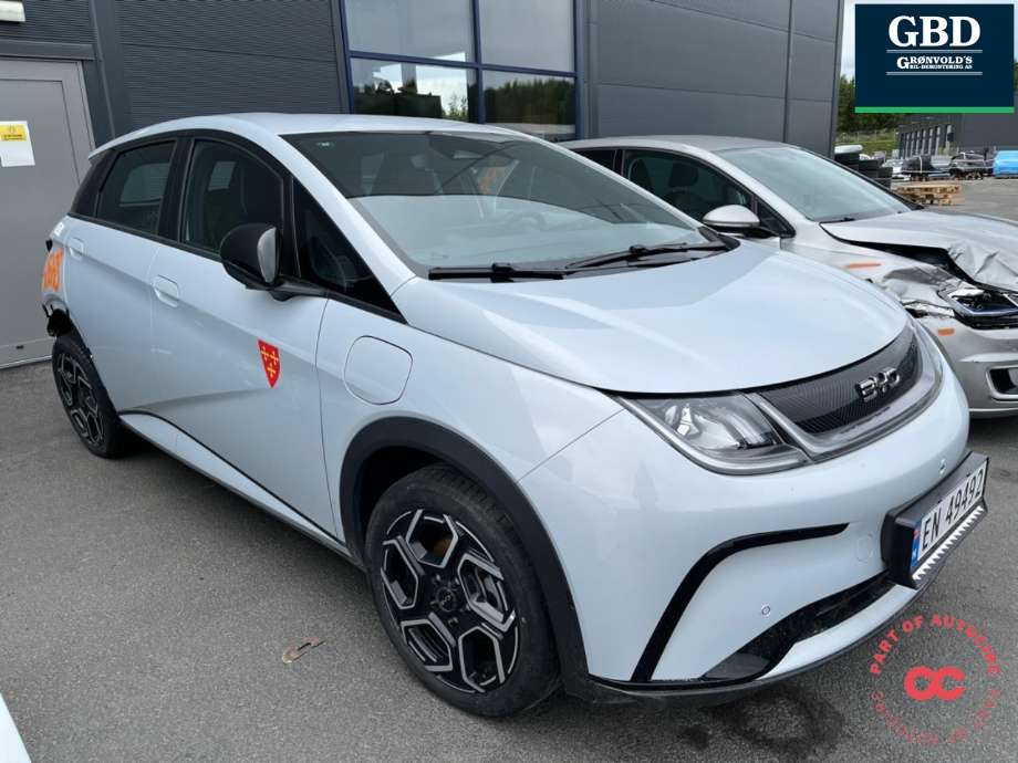 BYD Dolphin 2022-->> , Motorkode: TZ200XSQ, Girkassekode: