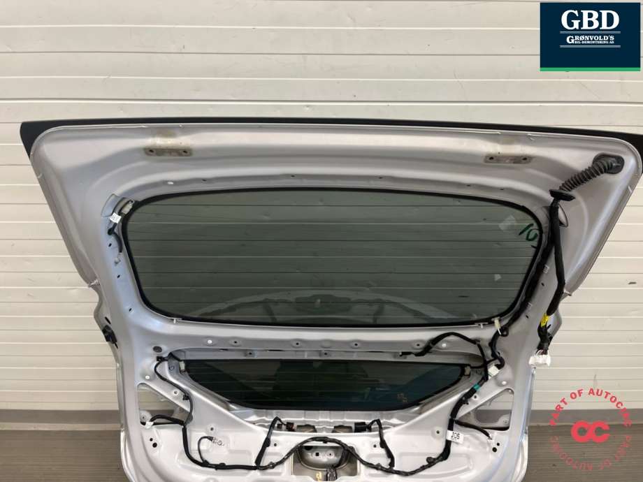 Bakluke til Hyundai Ioniq Electric 2019-->> (Fase 2) (73700G 2000|)