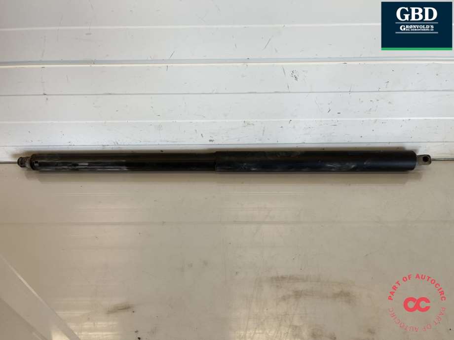 Tesla Model S, 2016-2021 (Fase 2)(|6006611-00-B)